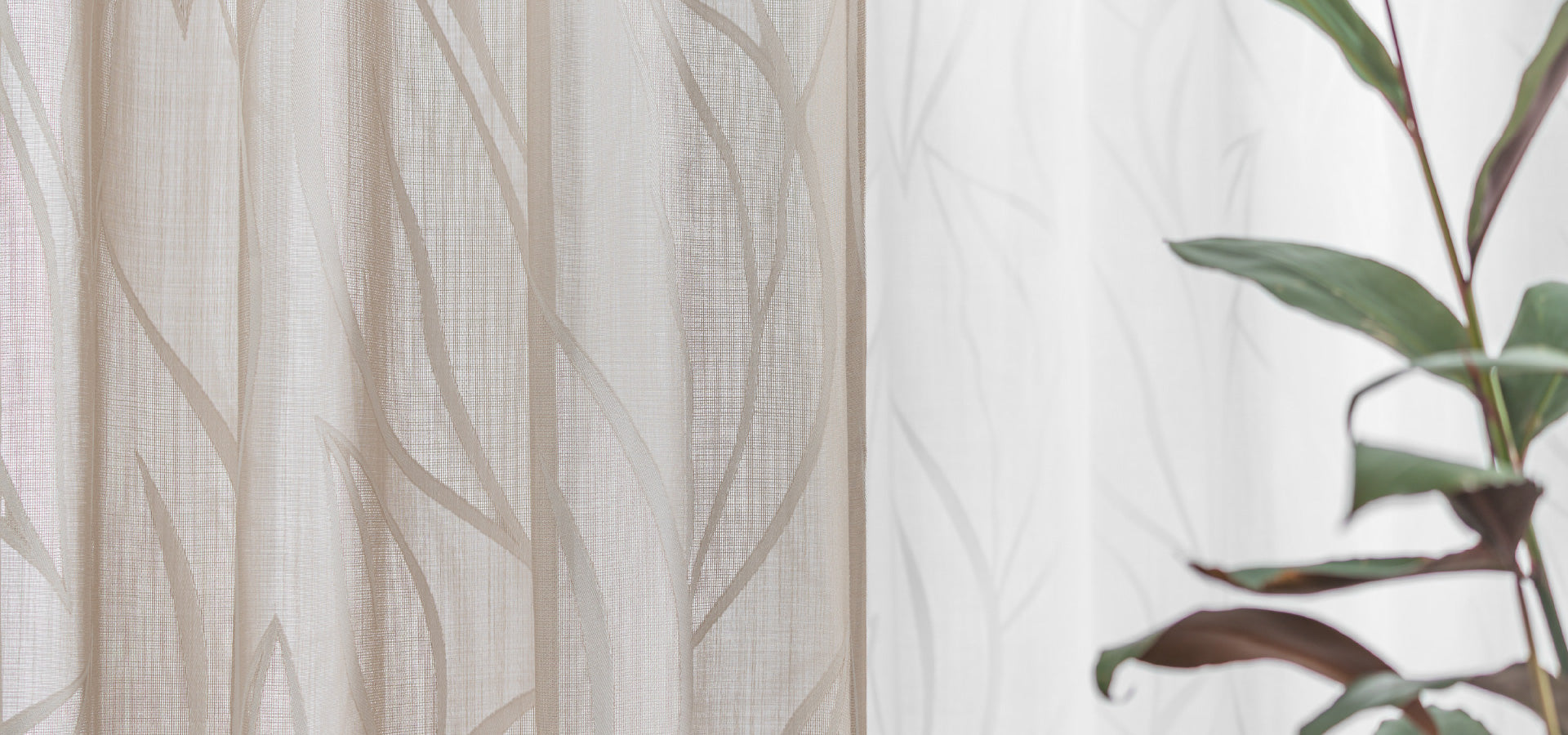 X Jacquard Sheers