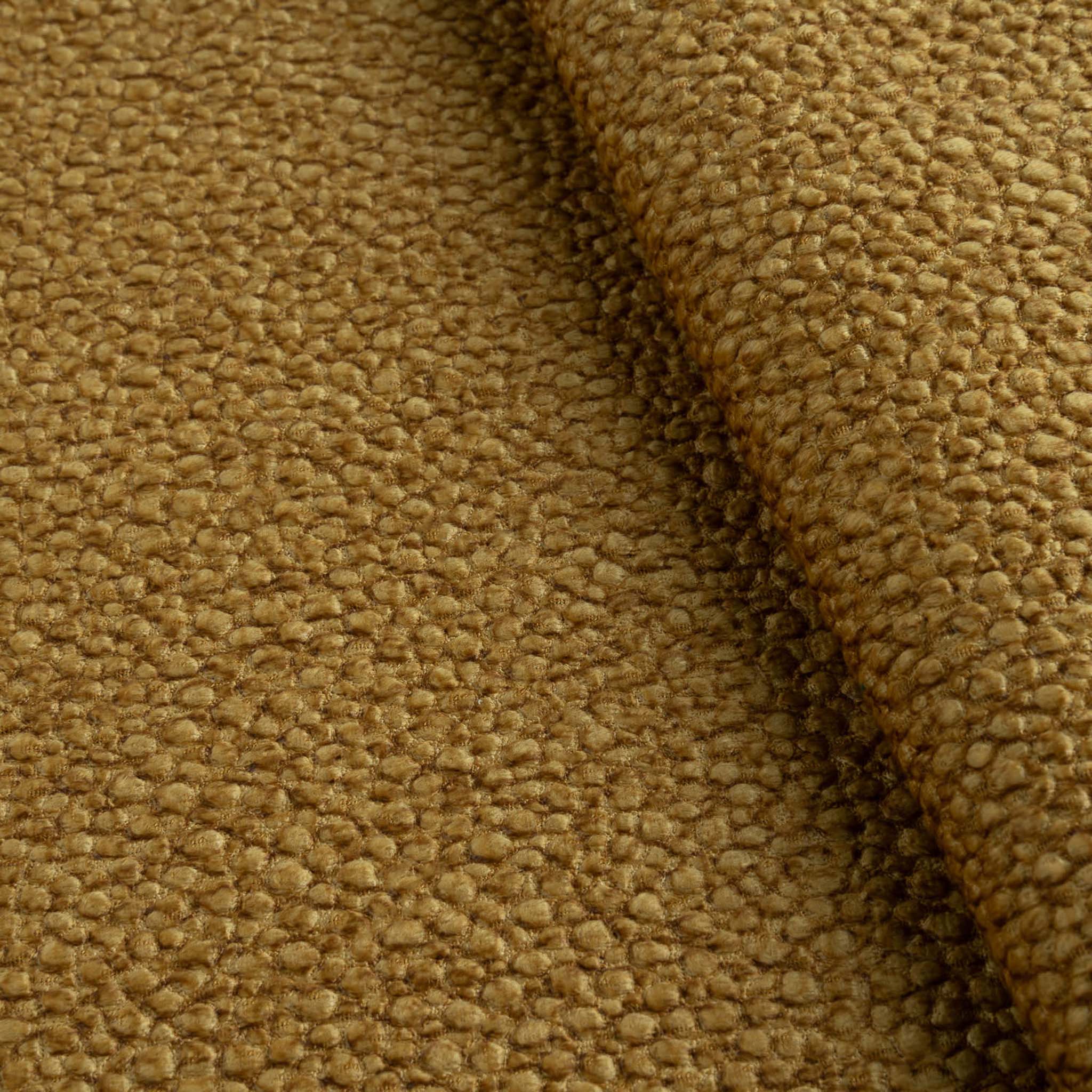 AMBROSIA