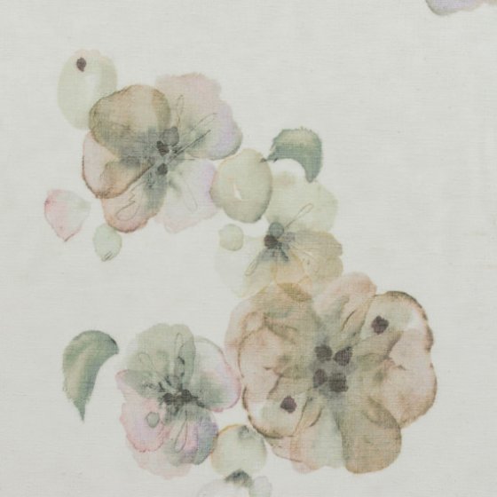 FLORIA BLOSSOM