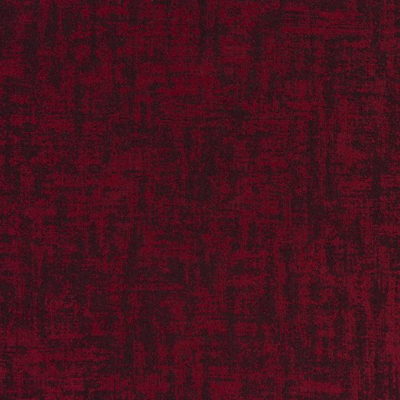 SOLARIS CLARET