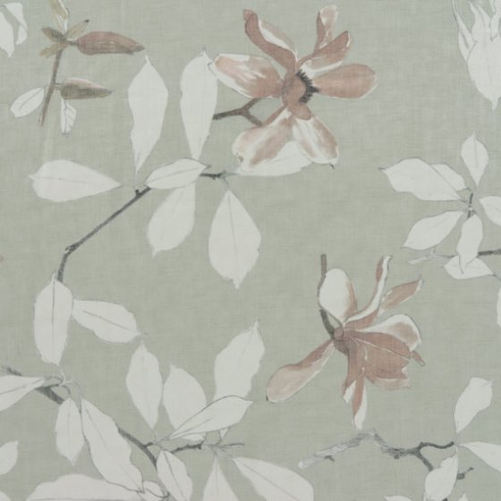 GRANDIFLORA BLOSSOM