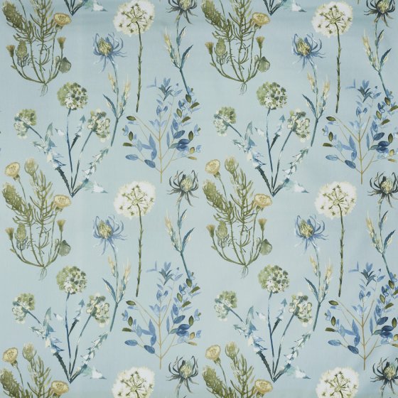 ALLIUM SLATE BLUE