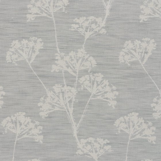 ANISE FOG