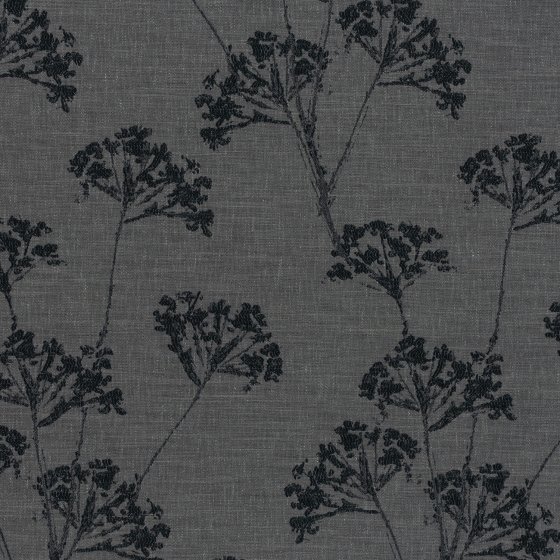 ANISE