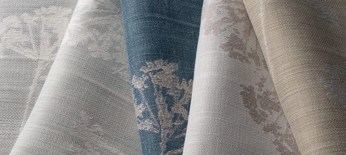 Anise_Collection.jpg